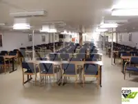 Containerskib til salg