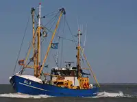 Trawler til salg