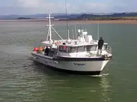 Langliner til salg