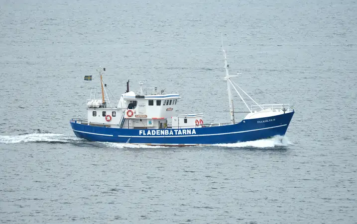 Trawler til salg