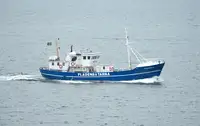 Trawler til salg