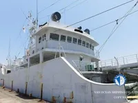 Langliner til salg