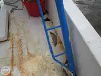 Trawler til salg