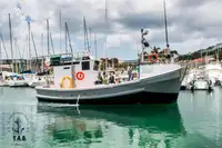 Trawler til salg