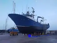 Tunlangliner til salg