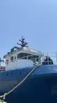 Trawler til salg