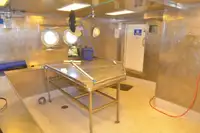 Containerskib til salg