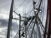 Trawler til salg