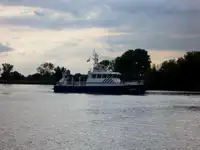 Patruljebåd til salg