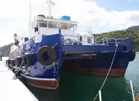 Katamaran til salg