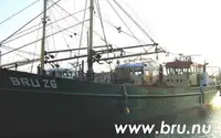 Trawler til salg