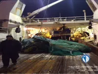 Trawler til salg
