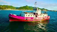General Cargo/Multi-purpose til salg