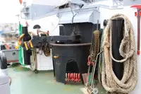 Bugserbåd til salg