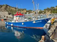 Trawler til salg