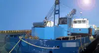 Dredge til salg