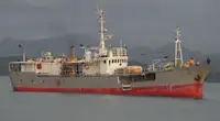 Langliner til salg
