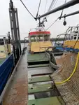 Trawler til salg