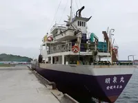 General Cargo/Multi-purpose til salg