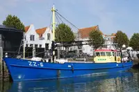 Trawler til salg