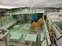 Langliner til salg