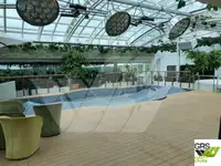 Krydstogtskib til salg
