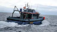 Containerskib til salg