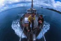 Dredge til salg