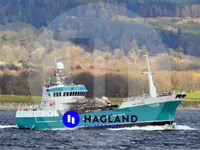 Fartøj til akvakultur / muslingefarm til salg