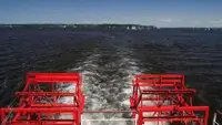 Containerskib til salg