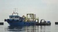 Trækbåd til salg