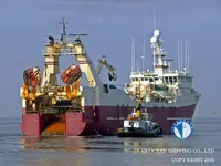 Trawler til salg