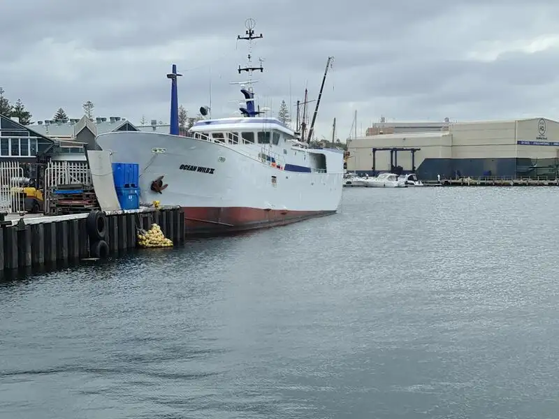 Langliner til salg