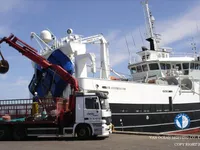 Trawler til salg