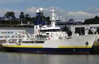 Containerskib til salg