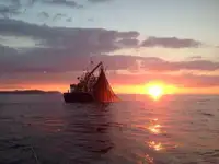 Trawler til salg