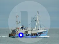 Levende fisketransportskib til salg