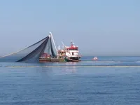 Fiskerfartøj til salg