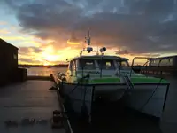 Katamaran til salg