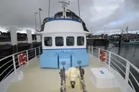 Kutter til salg