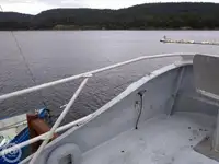 Kutter til salg