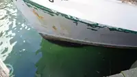 Trawler til salg