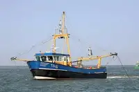 Trawler til salg