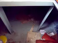 Bugserbåd til salg