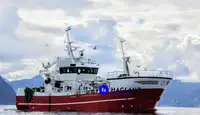 Pelsenet-trawlerfartøj til salg