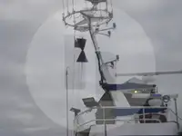 Levende fisketransportskib til salg
