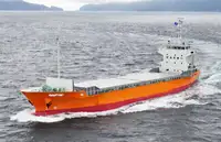 Containerskib til salg