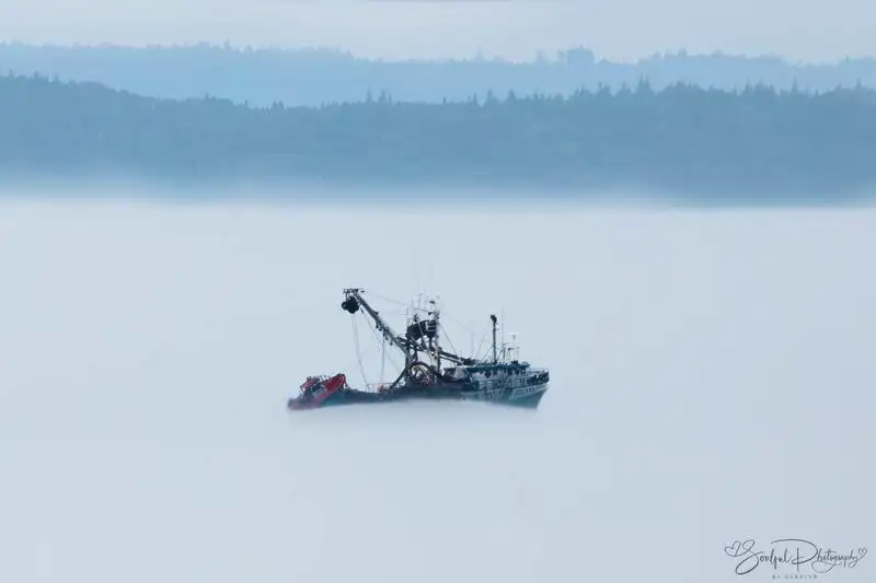 Pursediner til salg