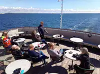 Krydstogtskib til salg