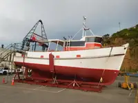 Trawler til salg
